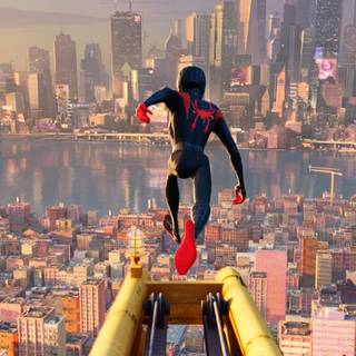 Spider-Man: Across the Spider-Verse wallpaper
