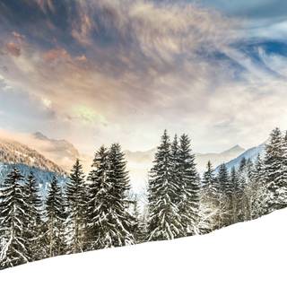 Winter views wallpaper