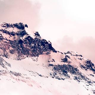 Winter iPhone white wallpaper