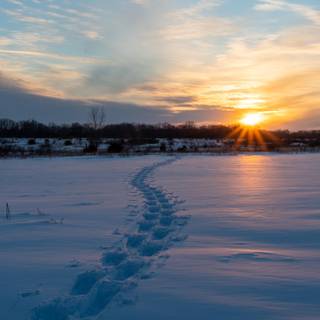 Winter sunset 4k wallpaper