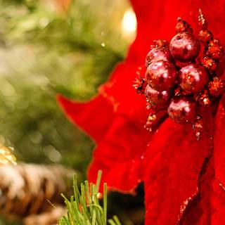 Christmas 1080x2280 wallpaper