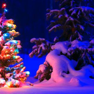 Desktop Christmas tree wallpaper