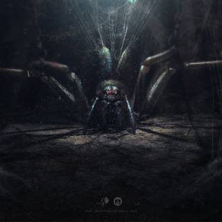 Giant spider wallpaper