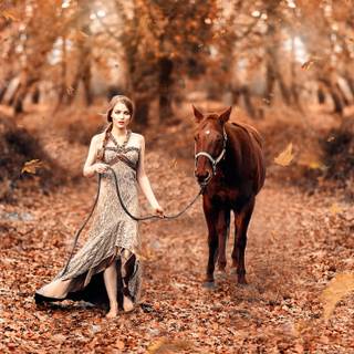 Fall horses wallpaper