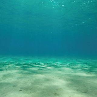 Sea floor wallpaper
