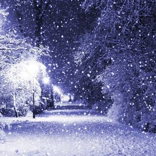Winter night iPad wallpaper