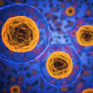 Human cell wallpaper