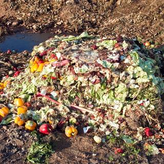 Food waste wallpaper