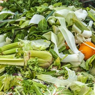 Food waste wallpaper