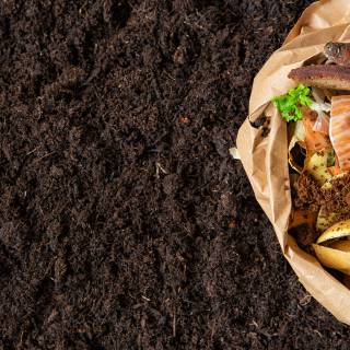 Food waste wallpaper