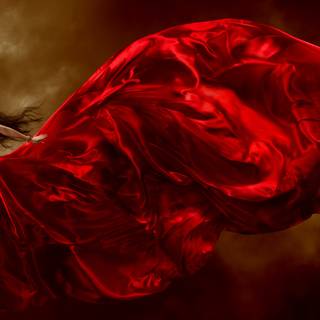 Long dress wallpaper