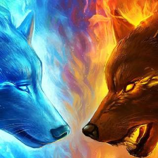 Red and blue fox wallpaper