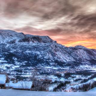 Winter orange wallpaper