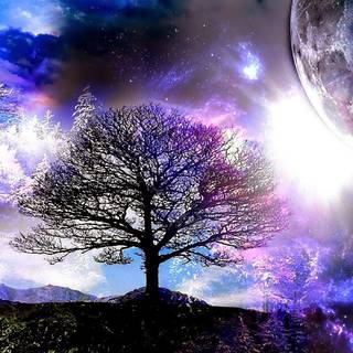 Magic tree wallpaper