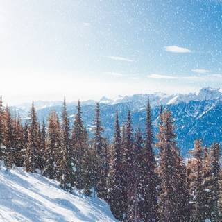 Winter 4k iPhone12 Pro wallpaper