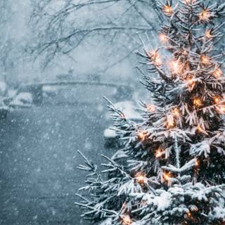 iPhone 12 Pro winter wallpaper