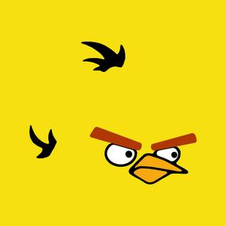 Yellow bird wallpaper