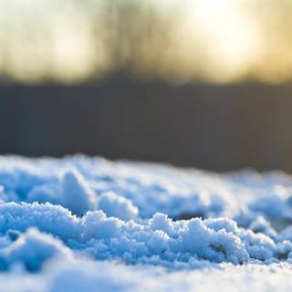 Winter macro wallpaper