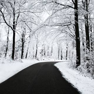 Winter iPad 4k wallpaper