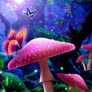 Mushroom fairy wallpaper