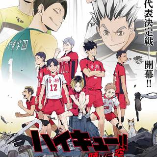 Yuki Shibayama wallpaper