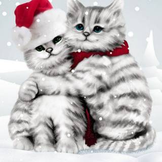 Cute winter cat wallpaper