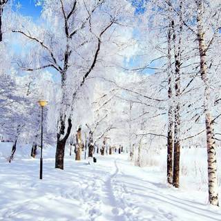 Winter PC aesthetic wallpaper