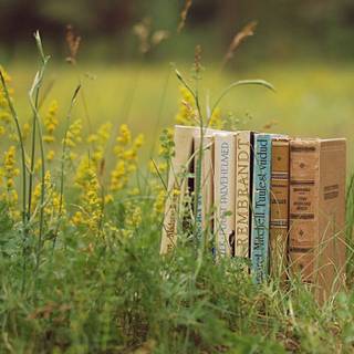 Vintage books wallpaper