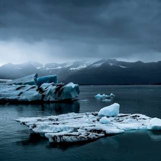 Icey winter wallpaper