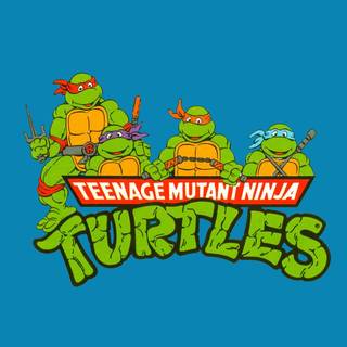 Turtles TMNT wallpaper