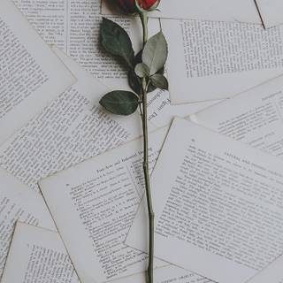 Valentines Day preppy wallpaper