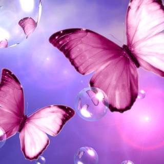Butterfly collage wallpaper