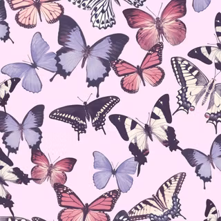 Butterfly pattern wallpaper