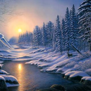 Nature winter desktop wallpaper