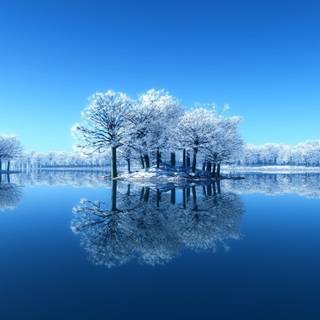 Gorgeous winter scene wallpaper