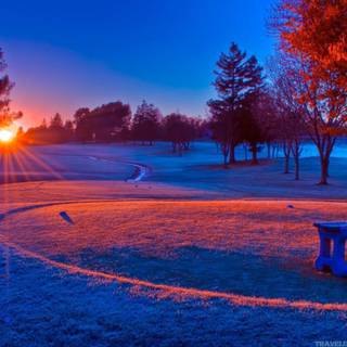 Gorgeous winter scene wallpaper