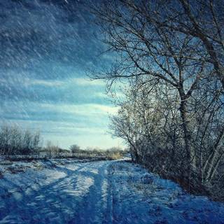 Gorgeous winter scene wallpaper