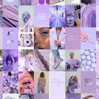 Lavender collage wallpaper