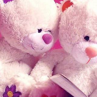 Teddy Bear aesthetic wallpaper