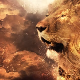 Lion and lamb wallpaper