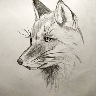 Fox face art wallpaper