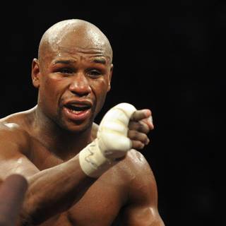 Floyd Mayweather Jr wallpaper