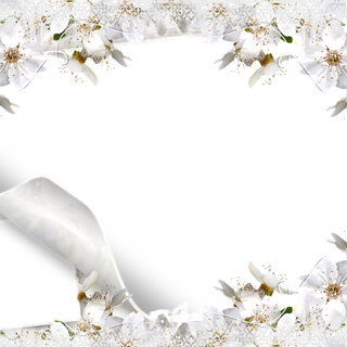 Wedding frame wallpaper