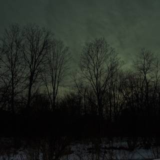 Dark winter desktop wallpaper