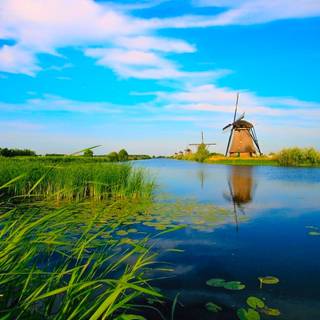 Macbook nature wallpaper