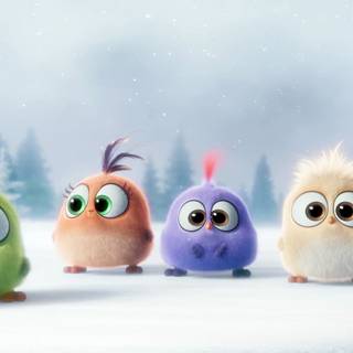 Cartoon birds wallpaper