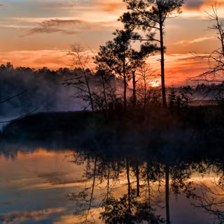 Florida landscape wallpaper