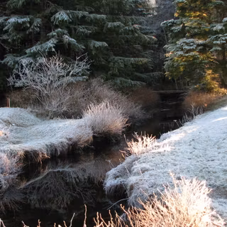 Creek winter wallpaper