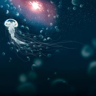 Astronaut jellyfish wallpaper
