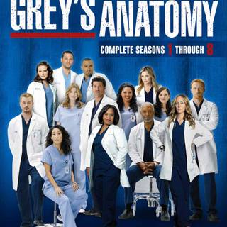 Grey's Anatomy cast wallpaper